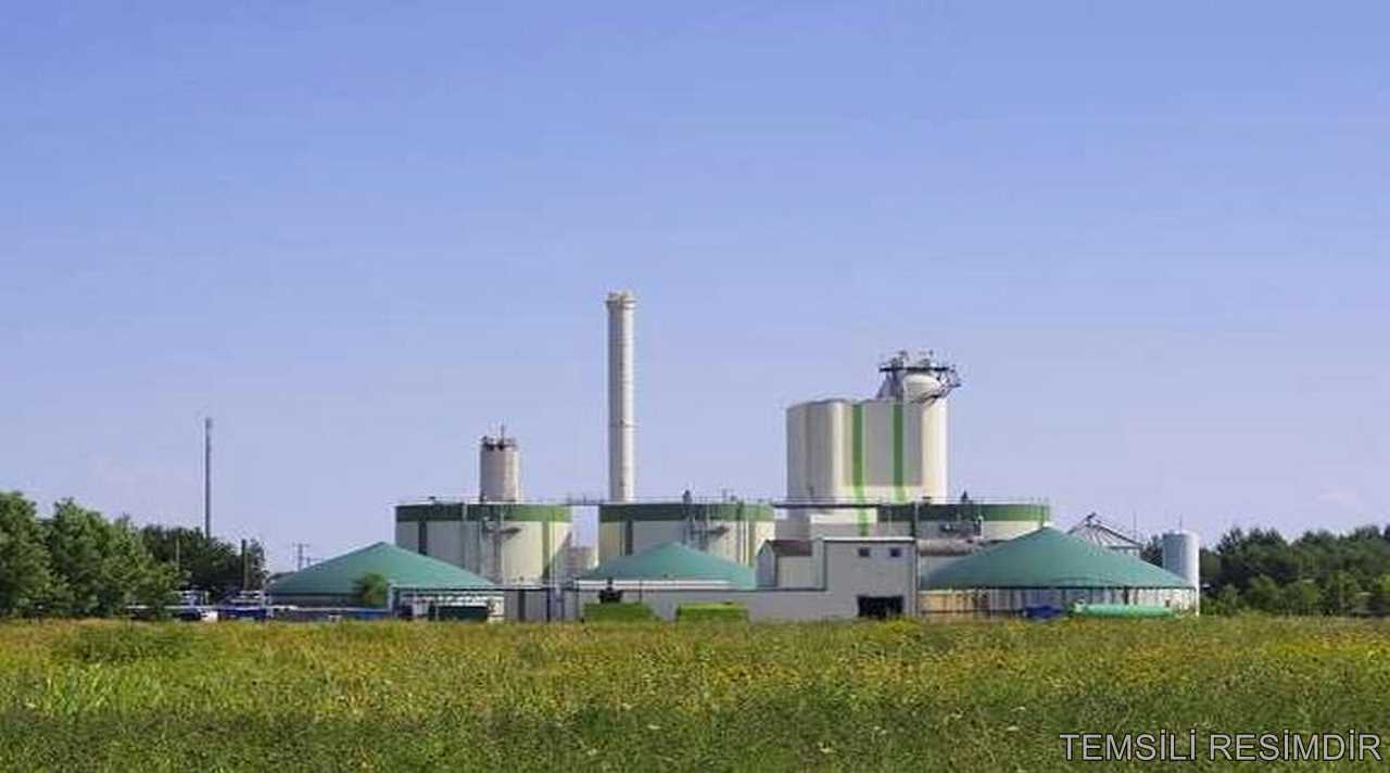 YÜREĞİR BİYOKÜTLE ENERJİ SANTRALİ